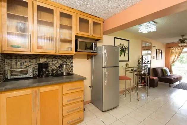 Apart Daire, Şehir Manzaralı, Executive Katı