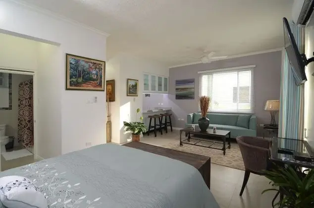 Superior Apart Daire, 1 Yatak Odası, Banyolu/Duşlu