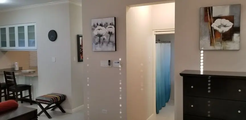 Luxury Apart Daire, 1 Yatak Odası, Banyolu/Duşlu