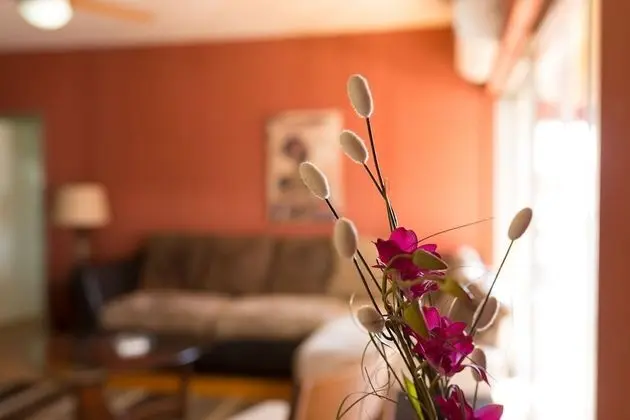 Exclusive Apart Daire, 1 Yatak Odası, Şehir Manzaralı, Executive Katı
