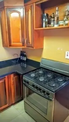Standard Oda, 1 Yatak Odası, Mutfak, Şehir Manzaralı