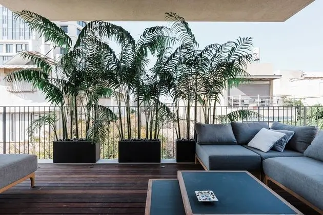 Premium Apart Daire, Birden Çok Yatak