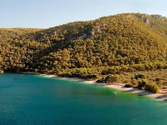 Villa, 4 Yatak Odası, Şömine