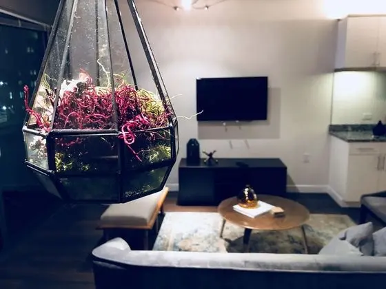 Deluxe Çatı Katı (Loft), 1 Yatak Odası, Şehir Manzaralı, Executive Katı