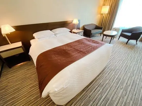 Standard Tek Büyük Yataklı Oda, Sigara İçilmez (Queen size bed)