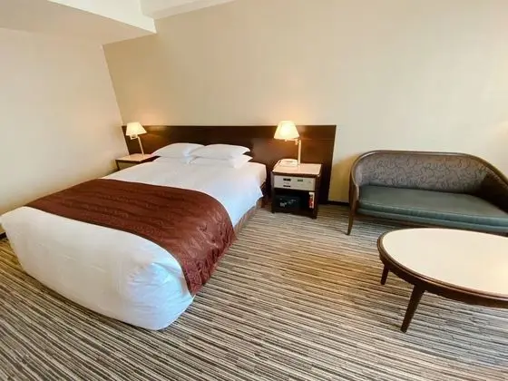 Standard Tek Büyük Yataklı Oda, Sigara İçilmez (Queen size bed)
