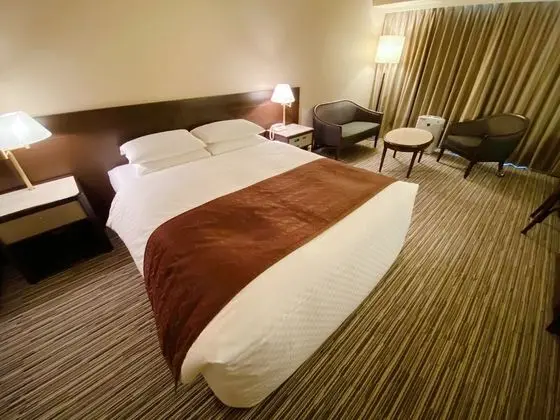 Standard Tek Büyük Yataklı Oda, Sigara İçilmez (Queen size bed)
