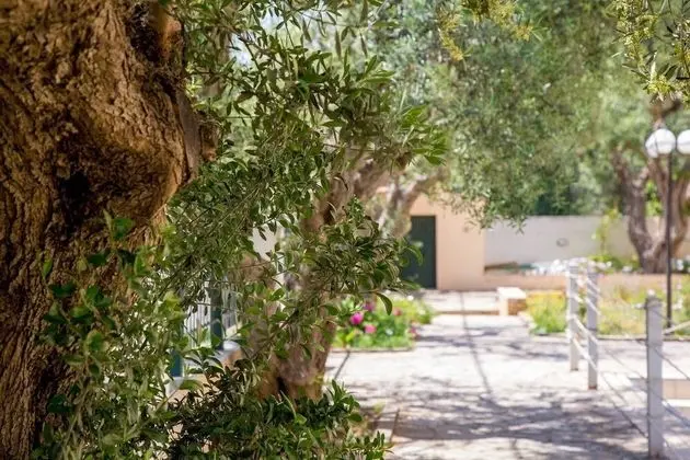 Apart Daire, 1 Yatak Odası, Balkon