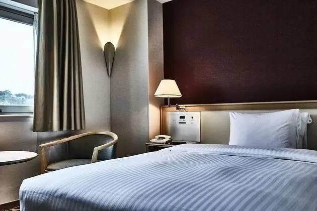Comfort Tek Büyük Yataklı Oda, Sigara İçilmez