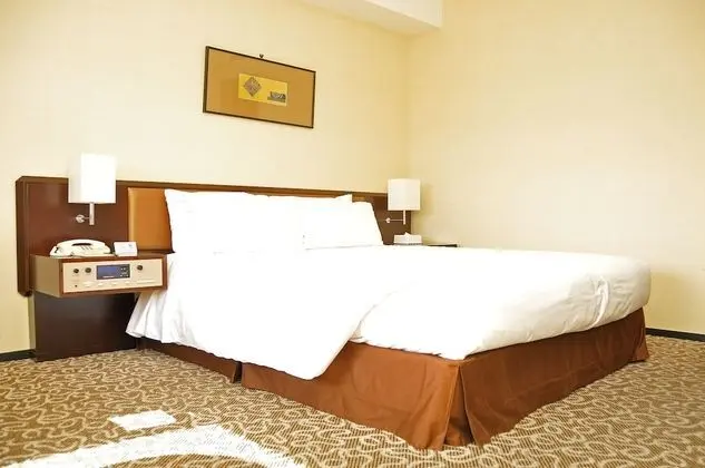 Superior Tek Büyük Yataklı Oda, Sigara İçilmez (Double Occupancy)