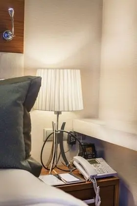 Deluxe İki Ayrı Yataklı Oda, 2 Tek Kişilik Yatak, Park Manzaralı (Park View)