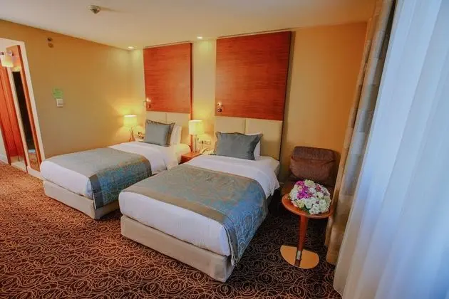 Deluxe İki Ayrı Yataklı Oda, 2 Tek Kişilik Yatak, Park Manzaralı (Park View)