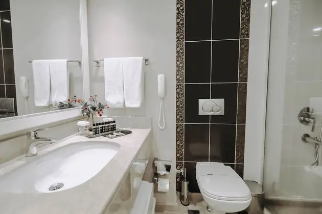 Deluxe İki Ayrı Yataklı Oda, 2 Tek Kişilik Yatak, Park Manzaralı (Park View)