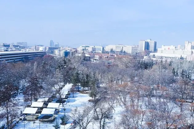 Deluxe İki Ayrı Yataklı Oda, 2 Tek Kişilik Yatak, Park Manzaralı (Park View)