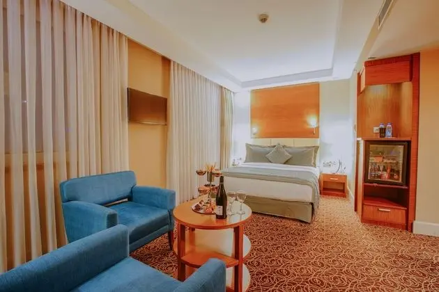 Deluxe Oda, 1 Yatak Odası, Şehir Manzaralı (Park View)