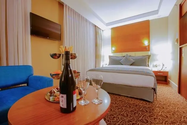 Deluxe Oda, 1 Yatak Odası, Şehir Manzaralı (Park View)