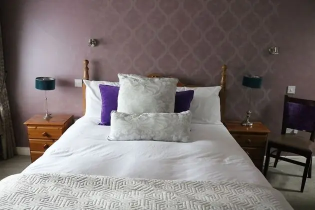 Standard Tek Büyük Yataklı Oda, 1 Çift Kişilik Yatak