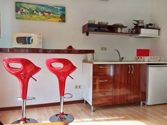 Tek Kişilik Oda With Terrace