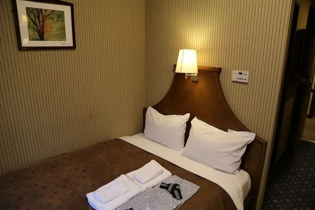 Business Tek Büyük Yataklı Oda, 1 Yatak Odası, Sigara İçilmez