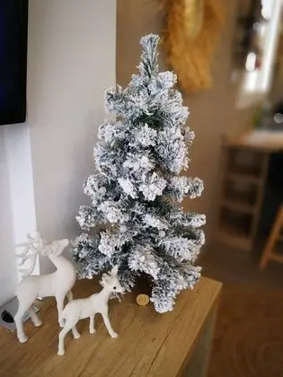 Stüdyo, 1 Yatak Odası, Engellilere Uygun, Mikrodalga