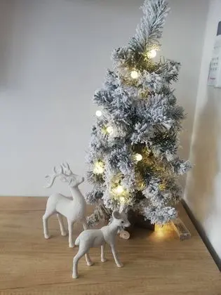 Apart Daire, 1 Yatak Odası, Engellilere Uygun, Mikrodalga