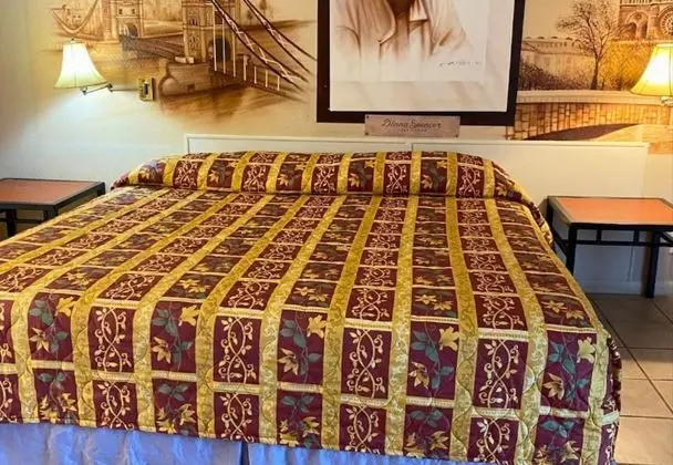 Standard Tek Kişilik Oda, 1 En Büyük (King) Boy Yatak, Sigara İçilmez, Buzdolabı ve Mikrodalga