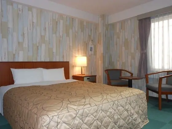 Tek Büyük Yataklı Oda, Sigara İçilmez (16 sqm, 150cm Bed, No Elevator)