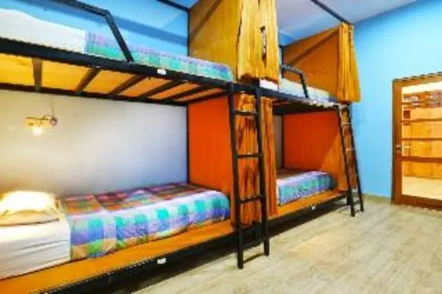 Bed in dormitory