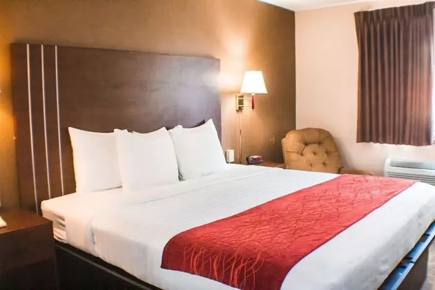 Comfort Tek Kişilik Oda, 1 En Büyük (King) Boy Yatak, Engellilere Uygun, Sigara İçilmez (42 inch TV)