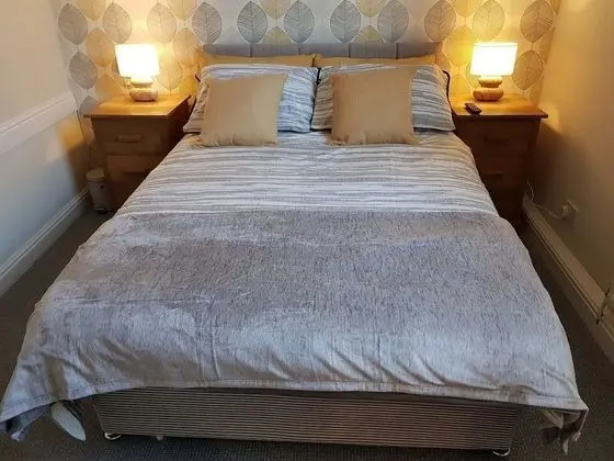 Tek Büyük Yataklı Oda, Banyolu/Duşlu (Room 5)