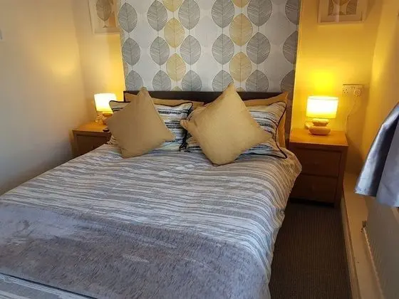 Tek Büyük Yataklı Oda, Banyolu/Duşlu (Room 5)