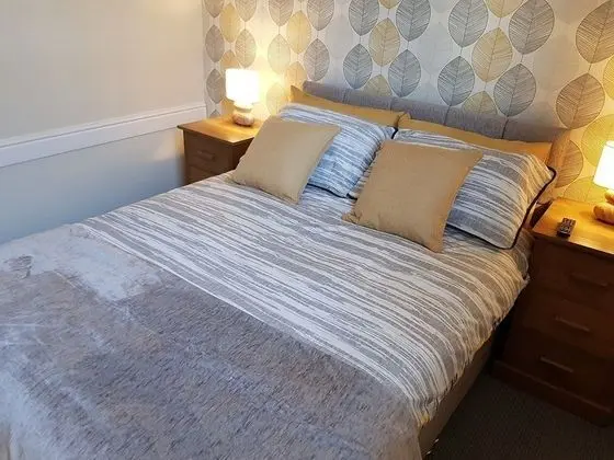 Tek Büyük Yataklı Oda, Banyolu/Duşlu (Room 5)
