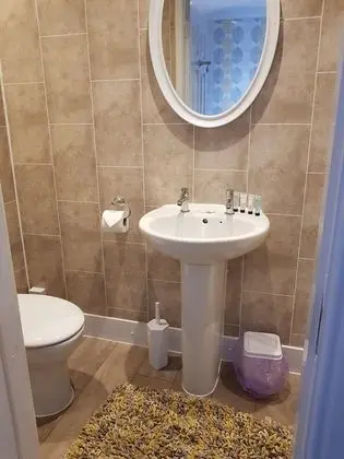 Tek Büyük Yataklı Oda, Banyolu/Duşlu (Room 5)