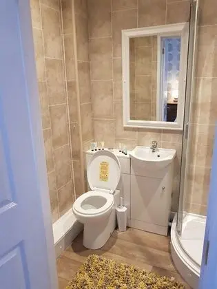 Tek Büyük Yataklı Oda, Banyolu/Duşlu (Room 5)
