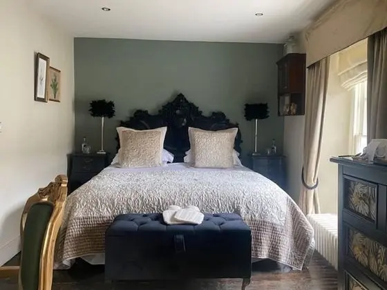 Luxury Tek Büyük veya İki Ayrı Yataklı Oda (Physicians of Myddfai)