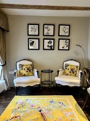Luxury Tek Büyük veya İki Ayrı Yataklı Oda (Physicians of Myddfai)