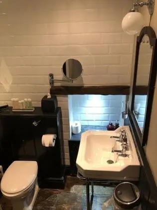 Luxury Tek Büyük veya İki Ayrı Yataklı Oda (Physicians of Myddfai)