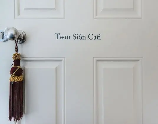 Luxury Tek Büyük Yataklı Oda (Twm Sion Cati)