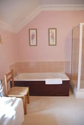 Superior Tek Büyük Yataklı Oda, Banyolu/Duşlu, Bahçe Manzaralı (Pink)