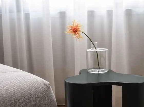 Deluxe Stüdyo Süit, Şehir Manzaralı
