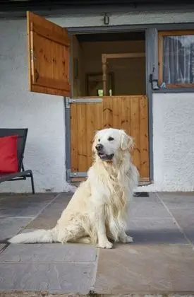 Kulübe, Banyolu/Duşlu, Bahçe Manzaralı (Newlands Farm Stables)