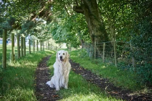 Superior Kulübe, Banyolu/Duşlu (Superior stable )