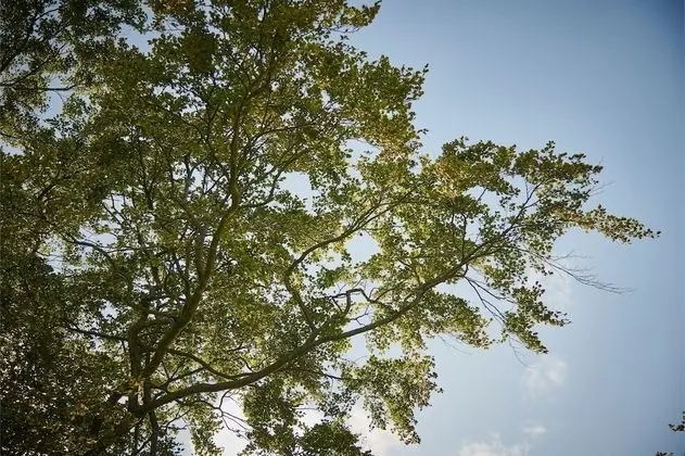 Superior Kulübe, Banyolu/Duşlu (Superior stable )