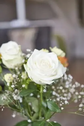 Traditional Kulübe, Banyolu/Duşlu (Stable )