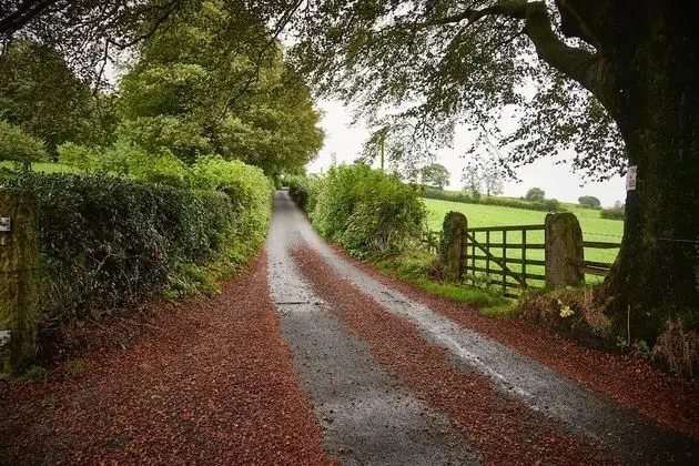 Traditional Kulübe, Banyolu/Duşlu (Stable )