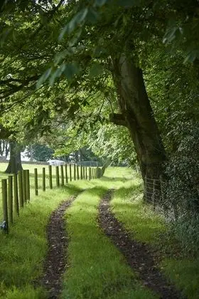 Traditional Kulübe, Banyolu/Duşlu (Stable )