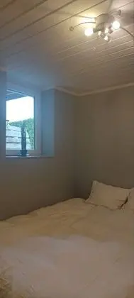 Apart Daire, 1 Yatak Odası, Şömine