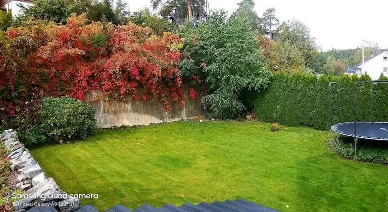 Apart Daire, 1 Yatak Odası, Şömine
