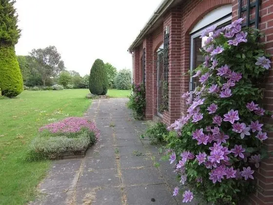 Standard İki Ayrı Yataklı Oda, Özel Banyo, Bahçe Manzaralı (Room 3)