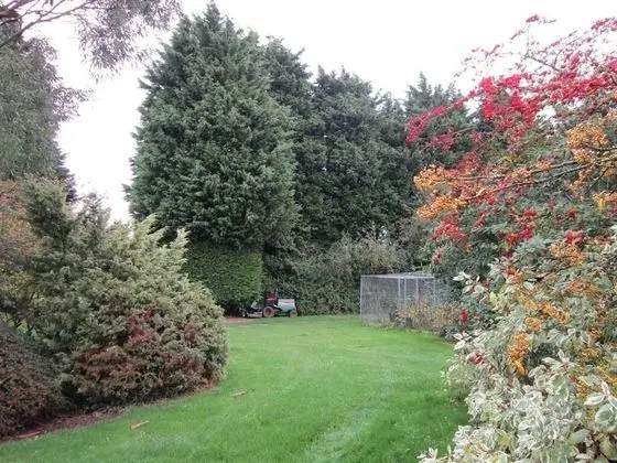 Tek Büyük Yataklı Oda, Banyolu/Duşlu, Bahçe Manzaralı (Room 2)